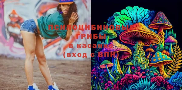 прущие крисы Абинск