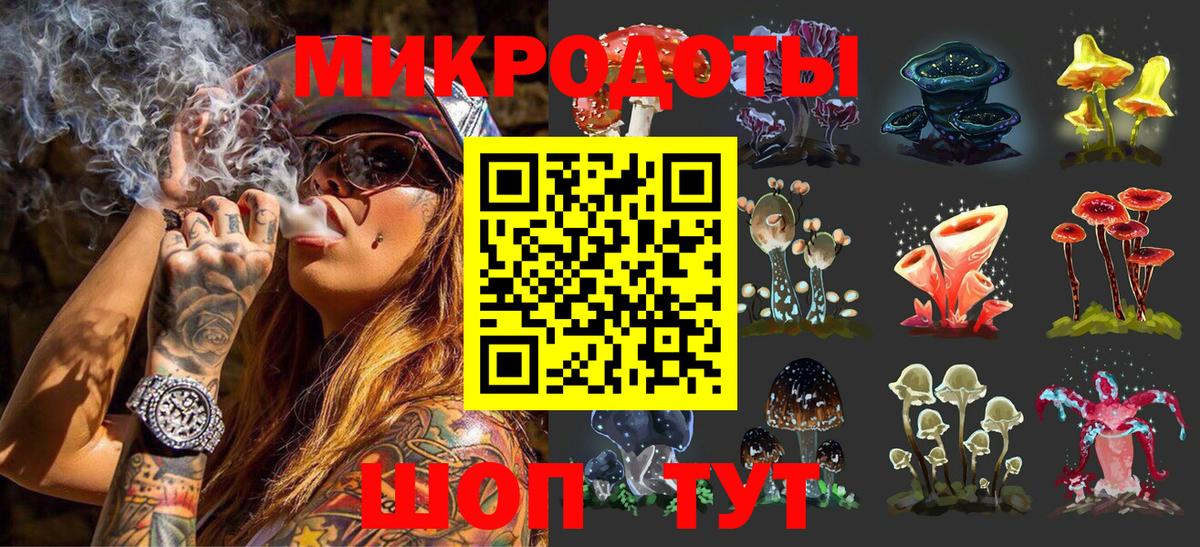 Псилоцибиновые грибы Psilocybine cubensis  купить наркотик  Галлюциногенные грибы мицелий  Новосибирск  Вход с VPN 