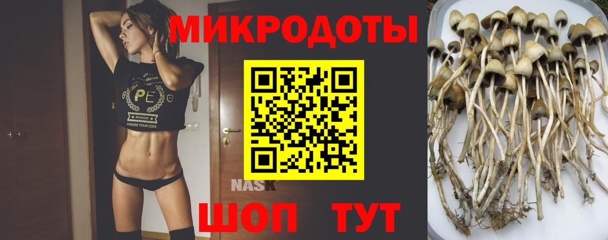Псилоцибиновые грибы ЛСД Новосибирск